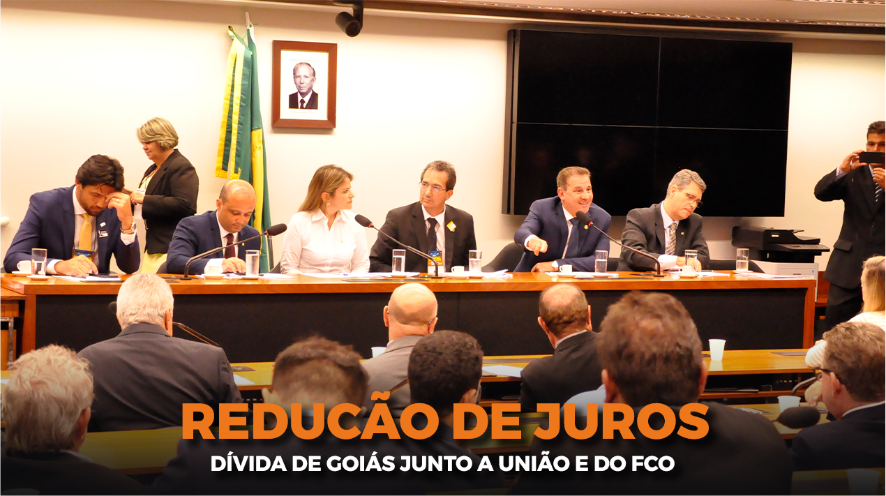 imagem da seção